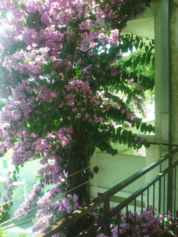 Apartmani Ivona Podgora Exterior foto